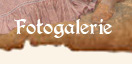 Fotogalerie